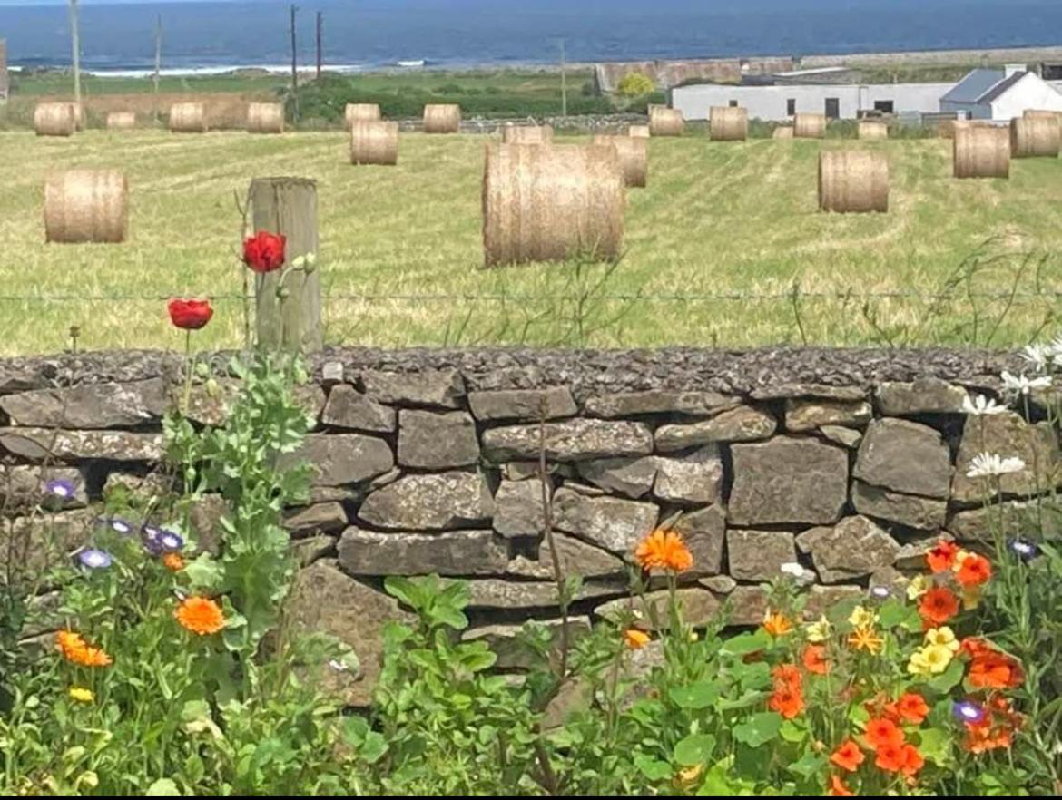 斯莱戈Wild Atlantic View住宿加早餐旅馆 外观 照片